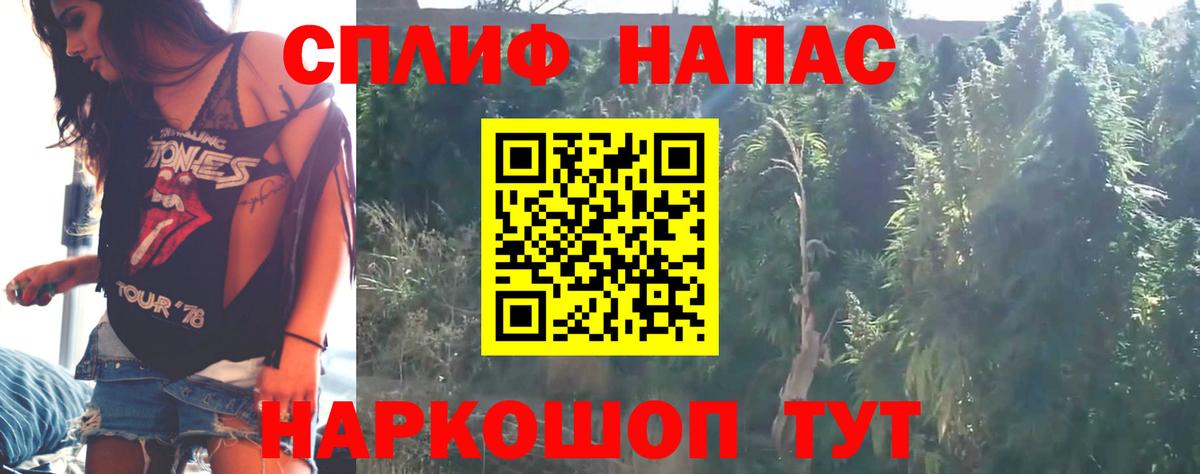 Шишки марихуана гибрид Новоалександровск